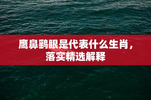 鹰鼻鹞眼是代表什么生肖，落实精选解释