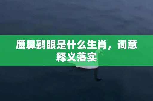 鹰鼻鹞眼是什么生肖，词意释义落实