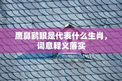 鹰鼻鹞眼是代表什么生肖，词意释义落实