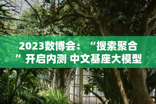2023数博会：“搜索聚合”开启内测 中文基座大模型CPM-Bee10b全面开源