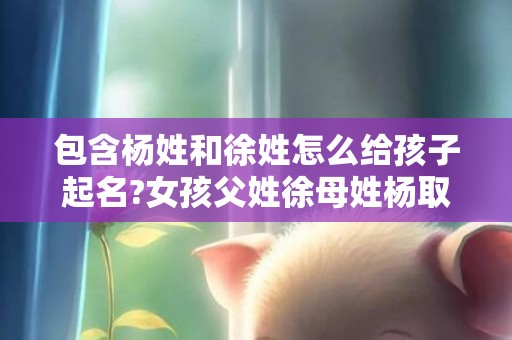包含杨姓和徐姓怎么给孩子起名?女孩父姓徐母姓杨取名的词条