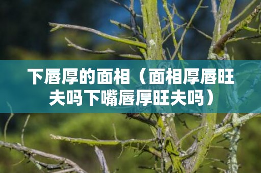 下唇厚的面相（面相厚唇旺夫吗下嘴唇厚旺夫吗）