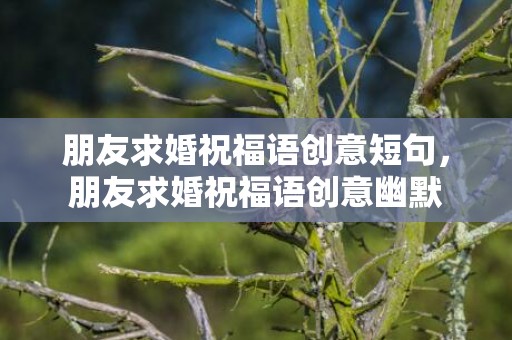 朋友求婚祝福语创意短句，朋友求婚祝福语创意幽默