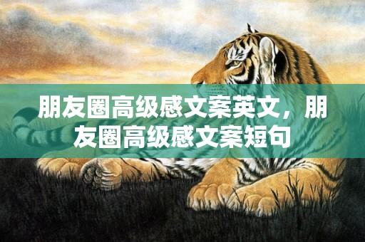 朋友圈高级感文案英文，朋友圈高级感文案短句