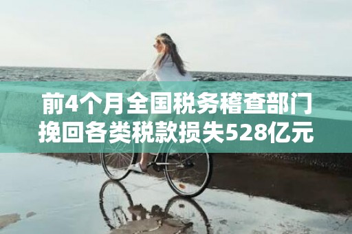 前4个月全国税务稽查部门挽回各类税款损失528亿元