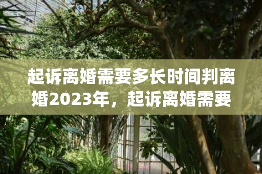 起诉离婚需要多长时间判离婚2023年，起诉离婚需要多长时间(起诉离婚需要多长时间能办下来)