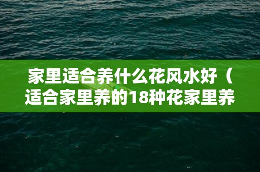 家里适合养什么花风水好（适合家里养的18种花家里养的花）