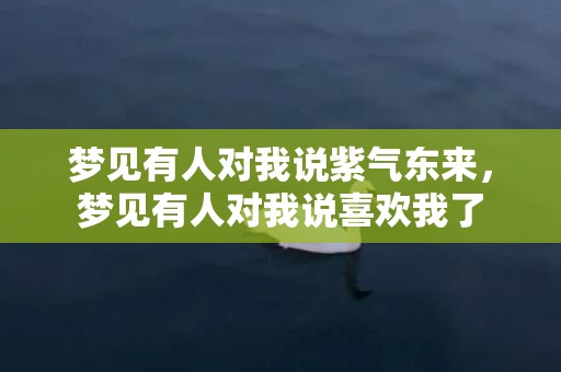 梦见有人对我说紫气东来，梦见有人对我说喜欢我了