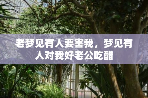 老梦见有人要害我，梦见有人对我好老公吃醋