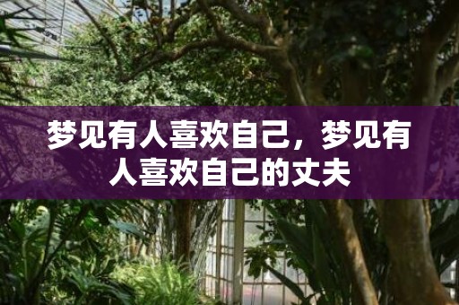 梦见有人喜欢自己，梦见有人喜欢自己的丈夫