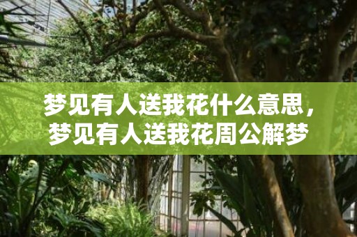 梦见有人送我花什么意思，梦见有人送我花周公解梦