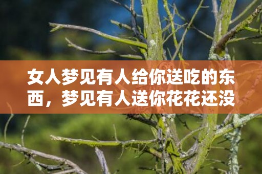 女人梦见有人给你送吃的东西，梦见有人送你花花还没开