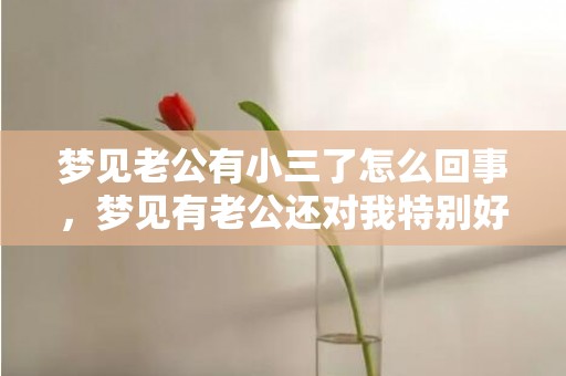 梦见老公有小三了怎么回事，梦见有老公还对我特别好