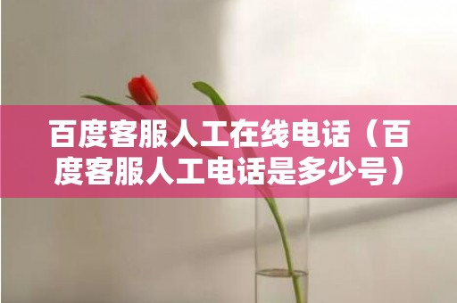 百度客服人工在线电话（百度客服人工电话是多少号）