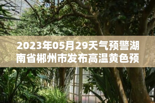 2023年05月29天气预警湖南省郴州市发布高温黄色预警