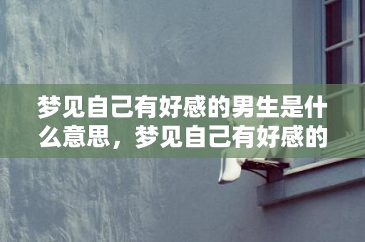 梦见自己有好感的男生是什么意思，梦见自己有好感的异性