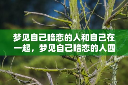 梦见自己暗恋的人和自己在一起，梦见自己暗恋的人四次