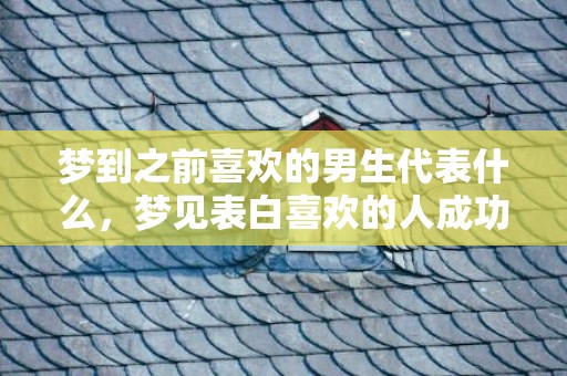 梦到之前喜欢的男生代表什么，梦见表白喜欢的人成功了