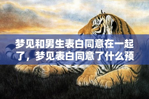 梦见和男生表白同意在一起了，梦见表白同意了什么预兆