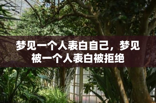 梦见一个人表白自己，梦见被一个人表白被拒绝