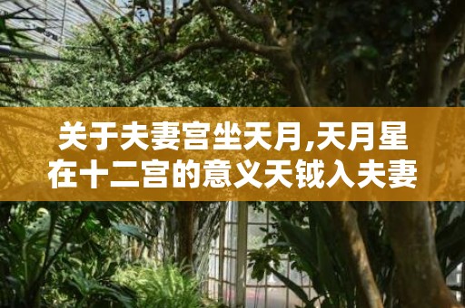 关于夫妻宫坐天月,天月星在十二宫的意义天钺入夫妻宫的信息