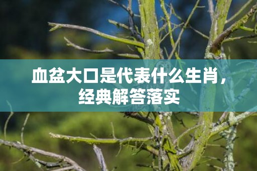 血盆大口是代表什么生肖，经典解答落实