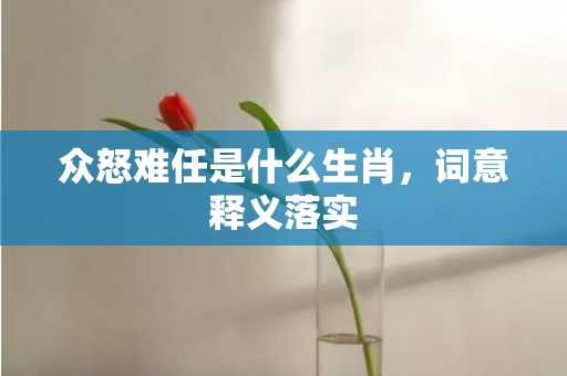 众怒难任是什么生肖，词意释义落实