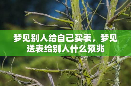 梦见别人给自己买表，梦见送表给别人什么预兆