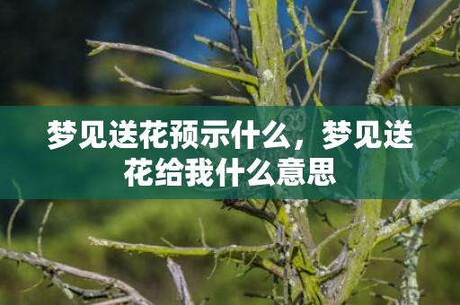 梦见送花预示什么，梦见送花给我什么意思