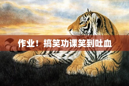 作业！搞笑功课笑到吐血