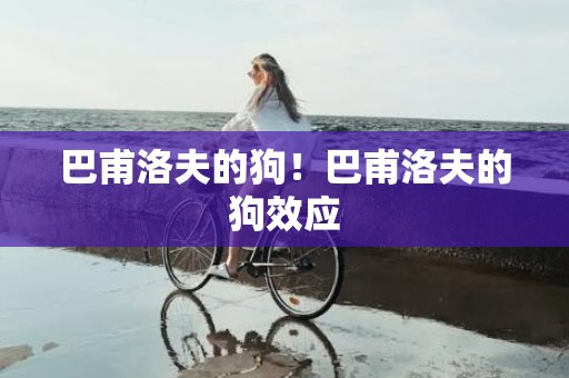 巴甫洛夫的狗！巴甫洛夫的狗效应