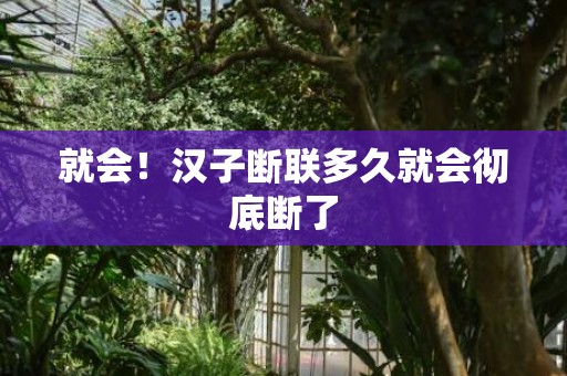 就会！汉子断联多久就会彻底断了