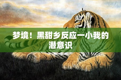梦境！黑甜乡反应一小我的潜意识