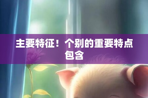主要特征！个别的重要特点包含