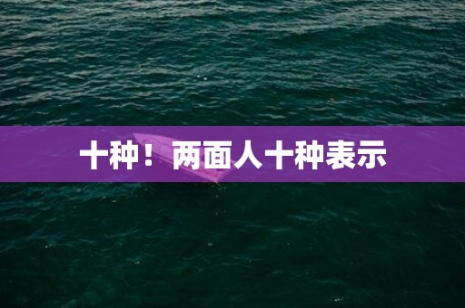 十种！两面人十种表示