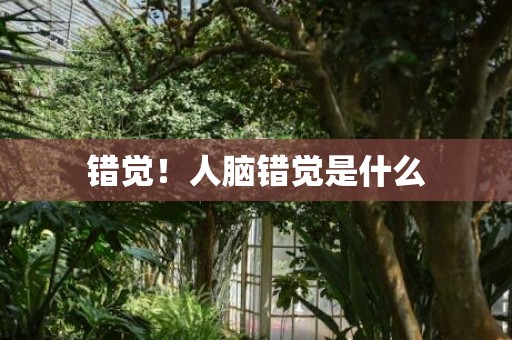 错觉！人脑错觉是什么