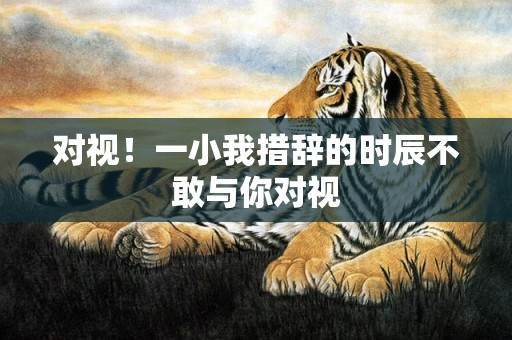 对视！一小我措辞的时辰不敢与你对视