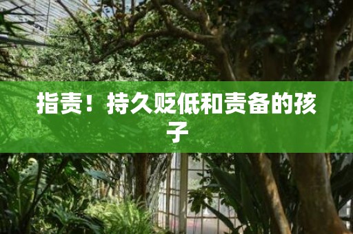 指责！持久贬低和责备的孩子
