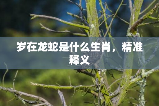 岁在龙蛇是什么生肖，精准释义