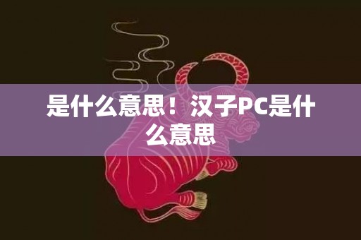 是什么意思！汉子PC是什么意思