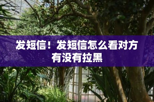 发短信！发短信怎么看对方有没有拉黑
