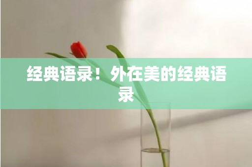 经典语录！外在美的经典语录