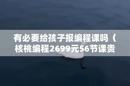 有必要给孩子报编程课吗（核桃编程2699元56节课贵吗）