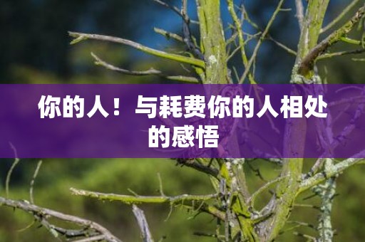 你的人！与耗费你的人相处的感悟