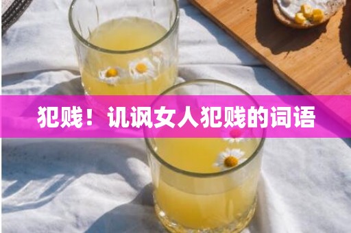 犯贱！讥讽女人犯贱的词语