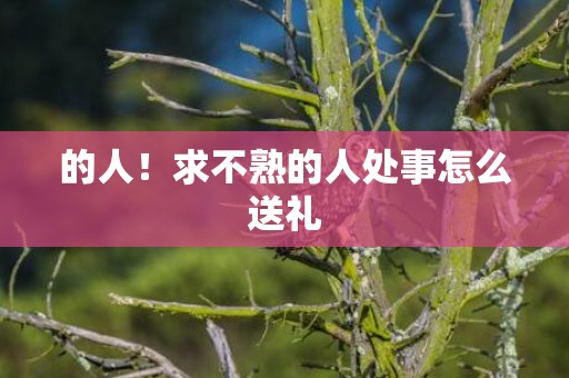 的人！求不熟的人处事怎么送礼