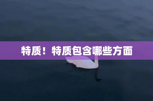 特质！特质包含哪些方面