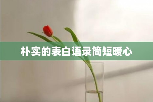 朴实的表白语录简短暖心