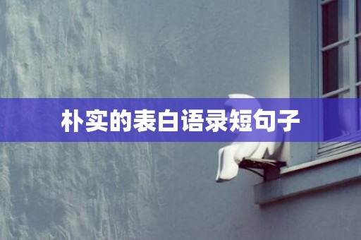 朴实的表白语录短句子