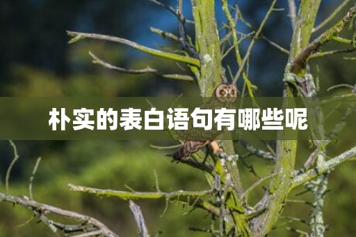朴实的表白语句有哪些呢
